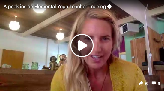 yoga teacher training YTT emily perry elemental yoga training kenny graham pleasure point yoga learn to teach yoga
